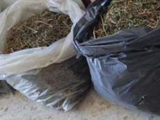 Scoperto deposito di droga in un casolare: sequestrati 18 chili di marijuana