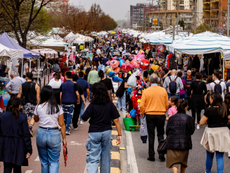 Cosenza, Fiera di San Giuseppe 2026: dal 15 al 19 marzo su Viale Mancini. Tornano vimini, terrecotte e piante