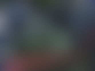 Sgombero Aterp ad Acquappesa, assolte due donne accusate di aggressione a un carabiniere