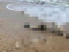 Marina di Gioiosa Ionica, cadavere rinvenuto sul lungomare: indagini in corso