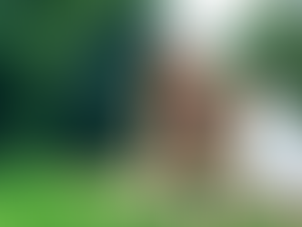 Dalla Svezia a Rende arriva il “Plogging”: si corre raccogliendo rifiuti