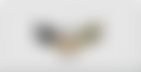 Rottamazione-Quinques: depositata l'istanza ufficiale. Riparti Bisignano: “Il Comune non lasci i cittadini in balìa dei pignoramenti Sogert”