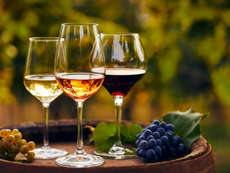 “Il Sabato del Vignaiolo” sbarca a Rende: il vino calabrese incontra la città