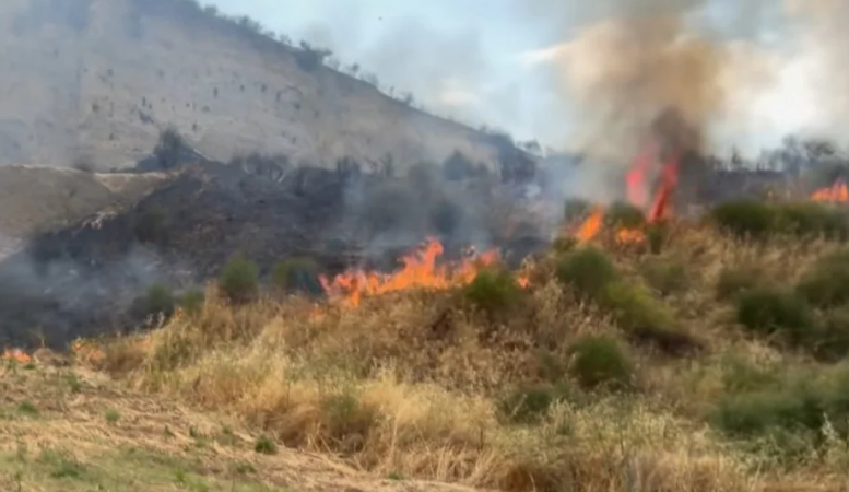 Incendio vicino al nuovo cimitero di Bisignano, il sindaco denuncia: «Chi appicca il fuoco è un vigliacco»