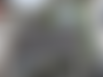 La Polizia arresta nel Vibonese due ricercati internazionali: in attesa di estradizione