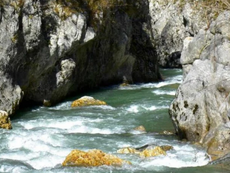Giallo a Laino Borgo, 77enne trovata morta nel fiume Lao: si indaga sulle cause del decesso