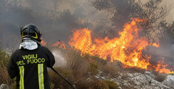 Emergenza incendi in Calabria, il Comitato chiede lo stato di emergenza e il supporto dell'Esercito
