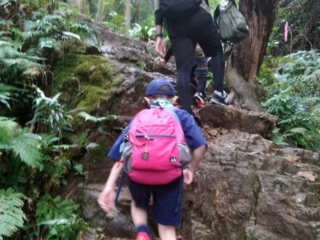 レッツ！登山！