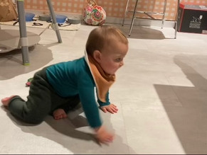 The Crawl