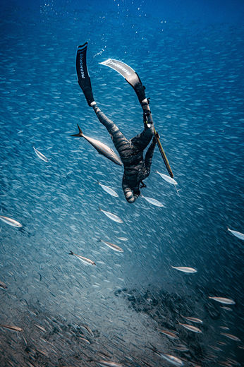 Underwater Photography by Eriocean, Spear Fishing, Fishing, Lifestyle, Oahu Photographer