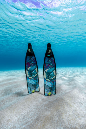 Underwater Photography Hawaii-ERIOCEAN -50.jpg