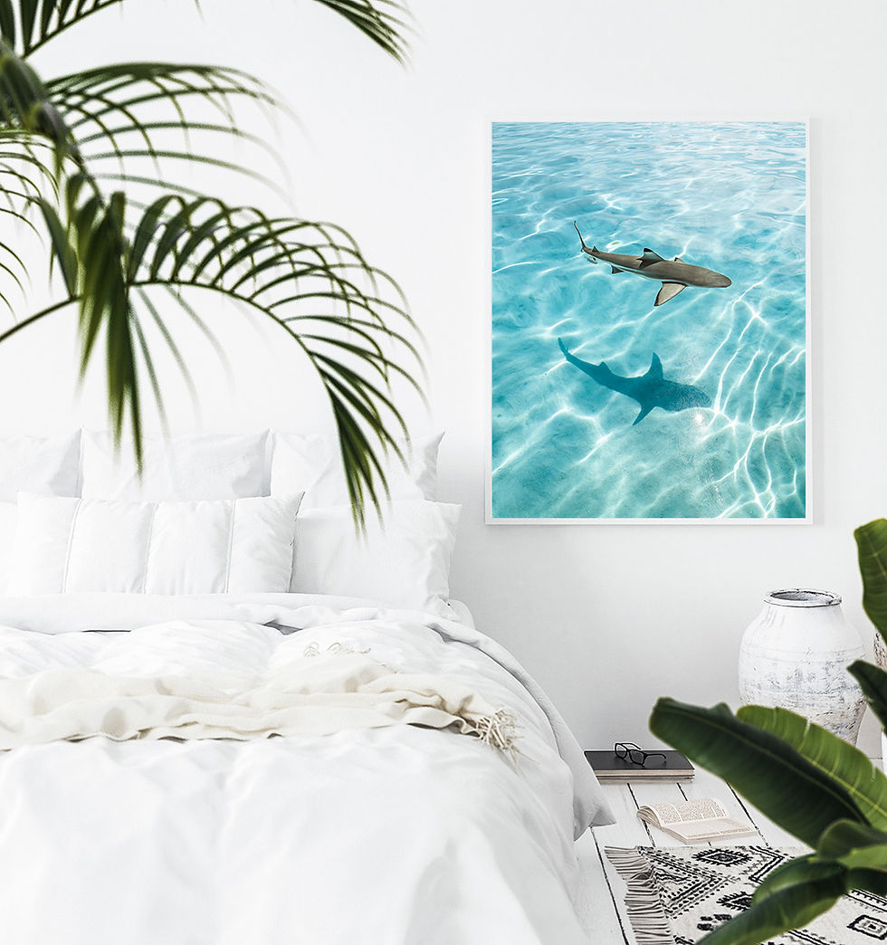 Mo'orea Black Tip Shark Photography Wall Art Print by Eriocean