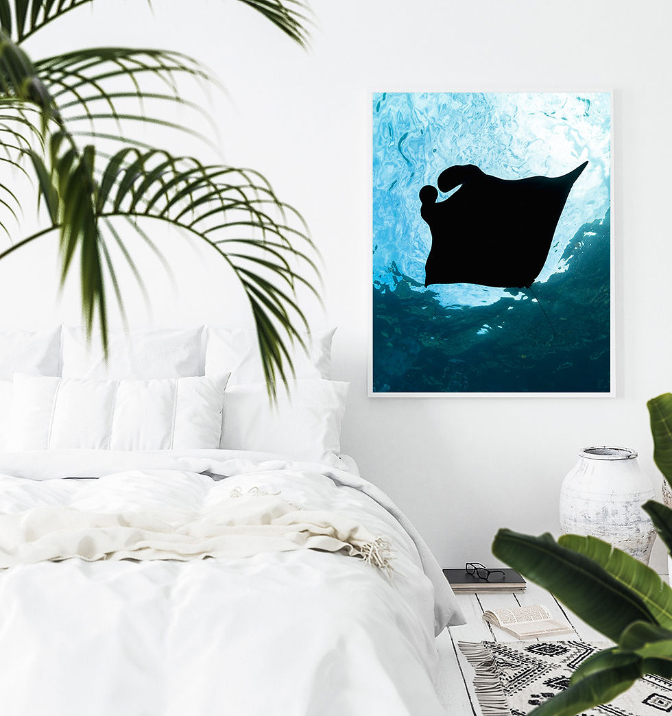 Thumbnail: Manta Ray Underwater Photography Print for Coastal Beach Wall Decor