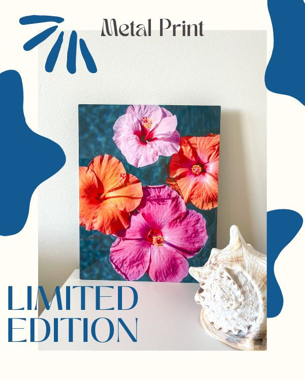 Thumbnail: tropical colorful hibiscus photography print for tropical wall decor