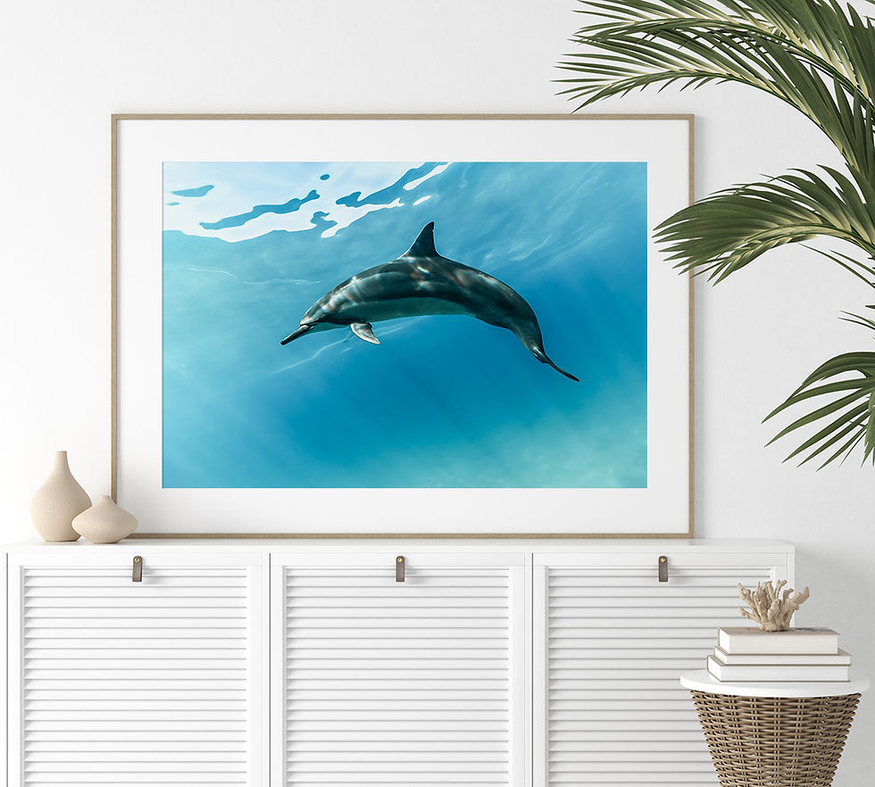 Thumbnail: Hawaii Spinner Dolphin Photography Wall Art Print by ERIOCEAN