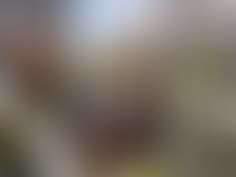 Essential Reasons Why Professional Gutter Cleaning Is Crucial for Terre Haute Homes