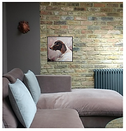 Photograph of a medium size pet painting scaled to a seater sofa