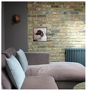 Photograph of a small size pet painting scaled to a seater sofa