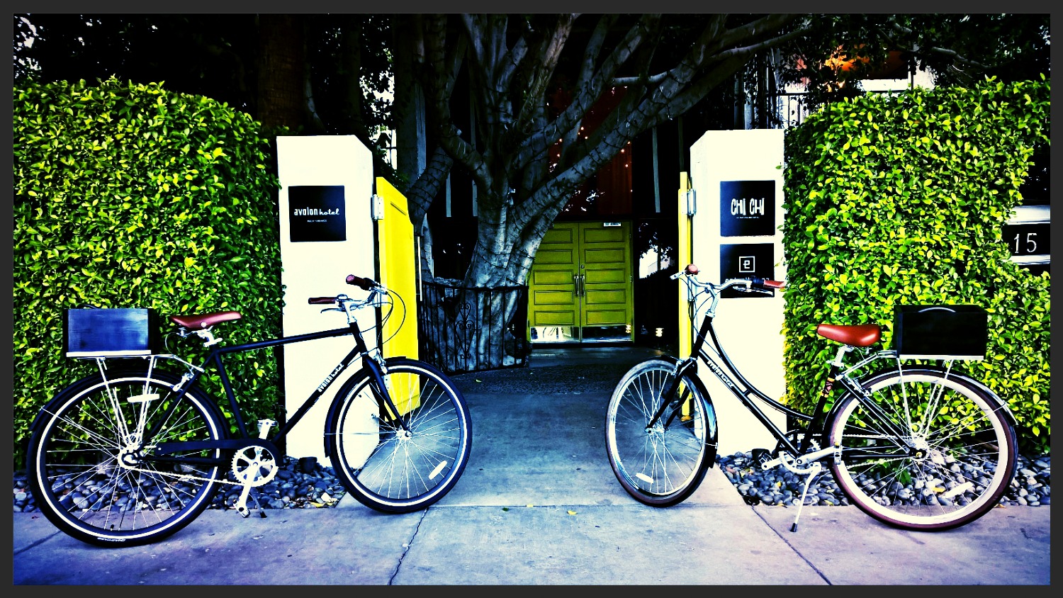 Celebrity Bike Rentals