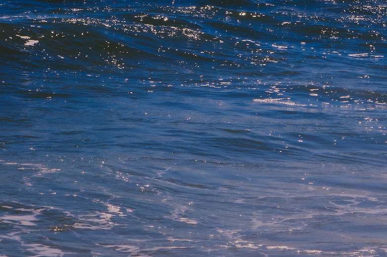 DSCF4123-2.jpg