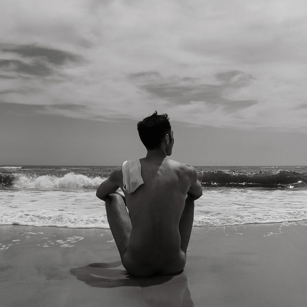 Thumbnail: Goodbye Seagull