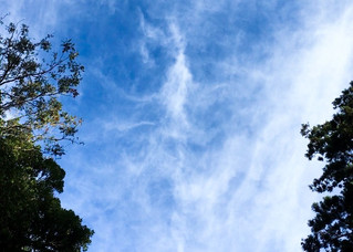 Looking at the Sky