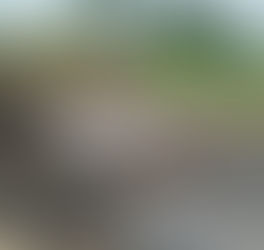 COTE D'IVOIRE: Christians Stripped, Churches Destroyed