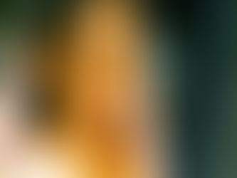 INDIA: Digital Resources Transform Hearts