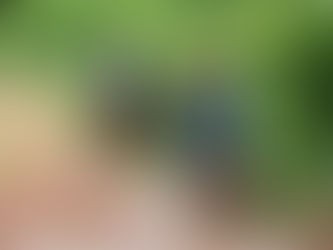 VIETNAM: Young Woman Injured in Attack Following a Time of Prayer