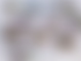 Atelier "voyage au coeur de mon arbre familial"