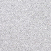 Salsa Revexpo 1893 Gris Clair