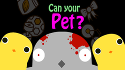 Can your pet