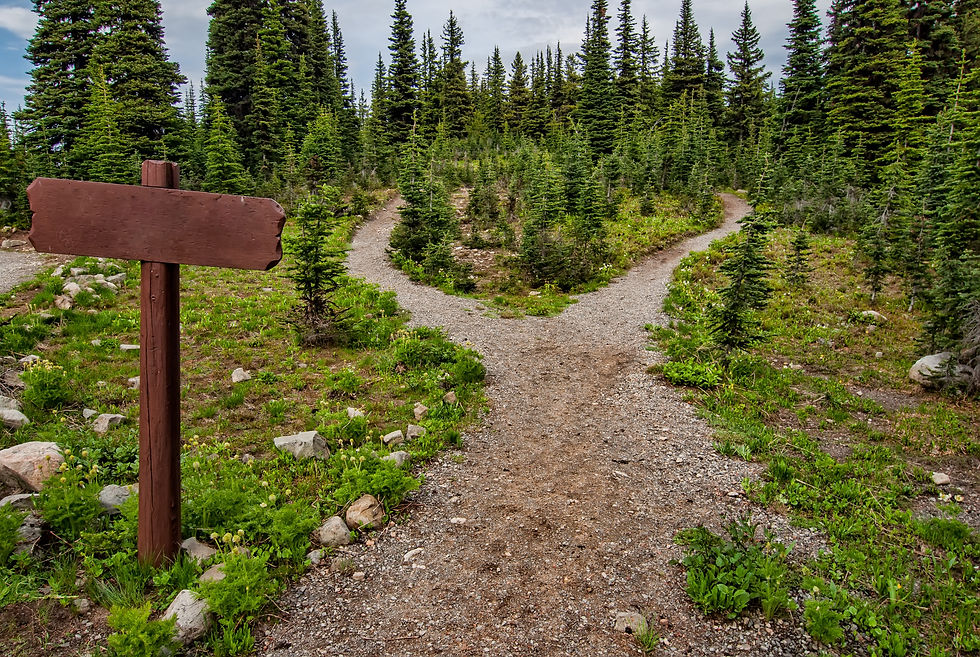RESOURCE: Discerning the next best step