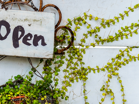 When being open to life takes you into the unknown, part 2