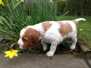 Spring is in the air!