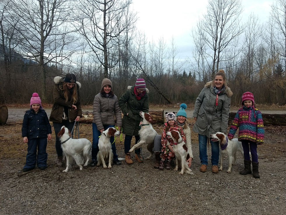 Annabella, Attaboy, Arriba, Aurora and Berry