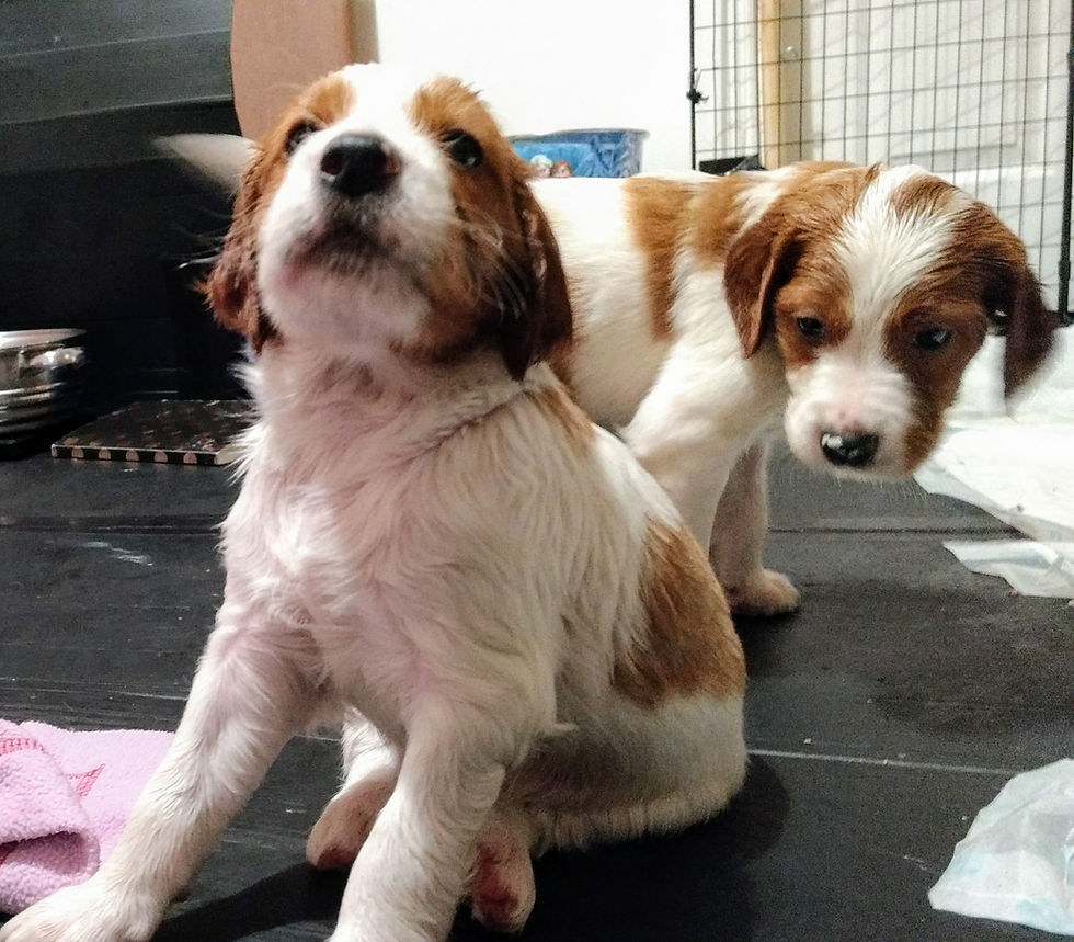 Billy (left) and Bruce