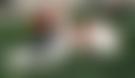 Bruce the Brave is looking for a kind, active home