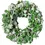 Thumbnail: Seasonal Premium Dog Treats