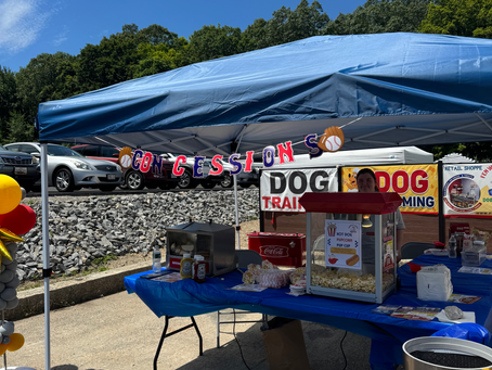 Fenway Bark First Birthday Celebration