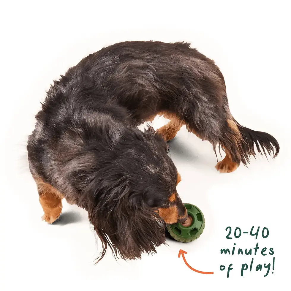 Thumbnail: The Pupsicle Enrichment Toy  and Refills