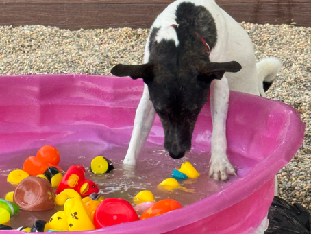 Enrichment Matters