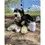 Thumbnail: Dog Water Thermos