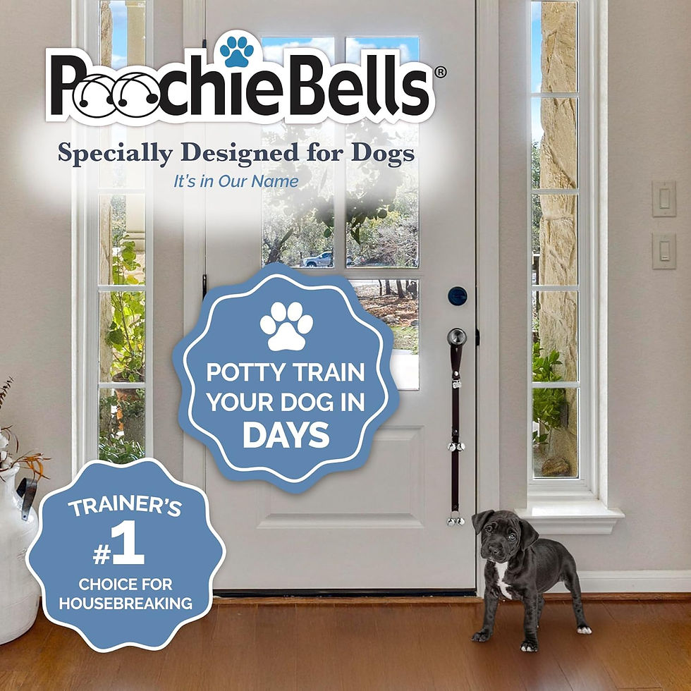 Thumbnail: Pooch Bells- Potty Training