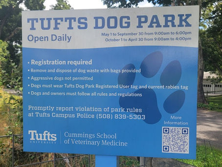 Destination: Tufts Dog Park, Grafton, MA