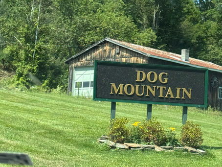 Destination: Dog Mountain- St Johnsbury, VT