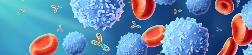 Blood cells and antibodies