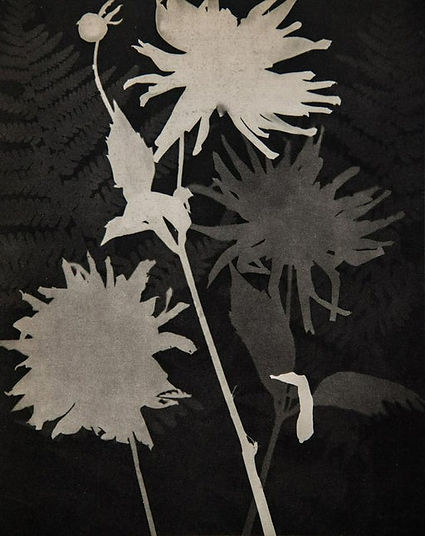 FlowerManRay.jpg