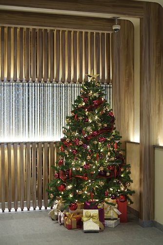 クリスマスツリーレンタル Red & Gold