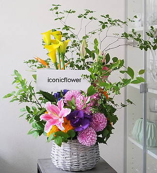 6月の切花|旬の花選び| iconicflower-アイコニックフラワー